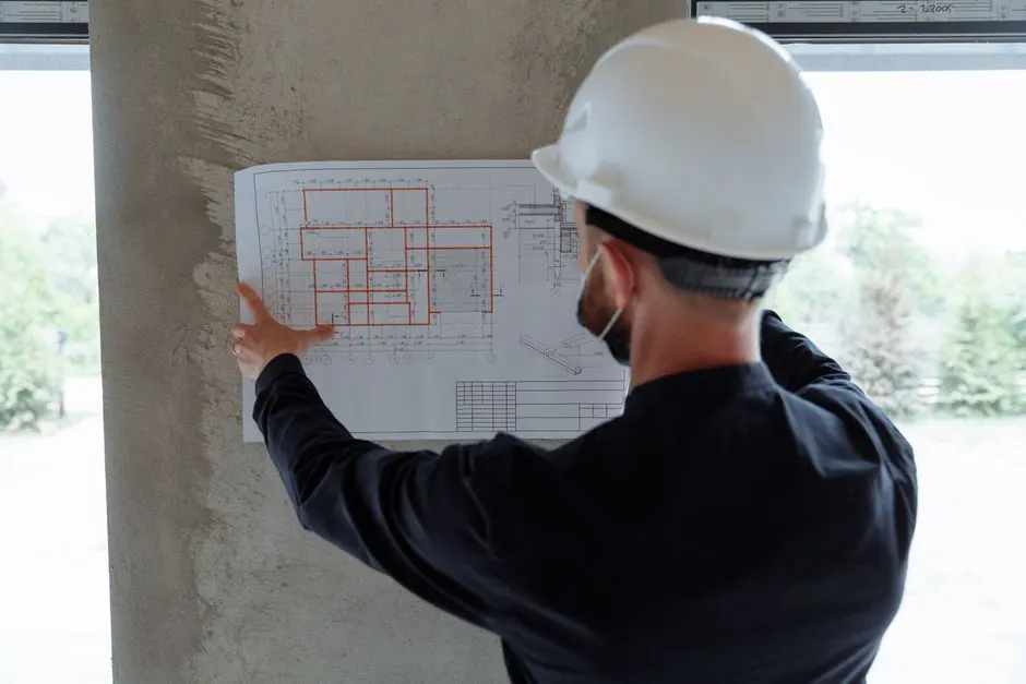 Benefits of Professional Termite Damage Repair