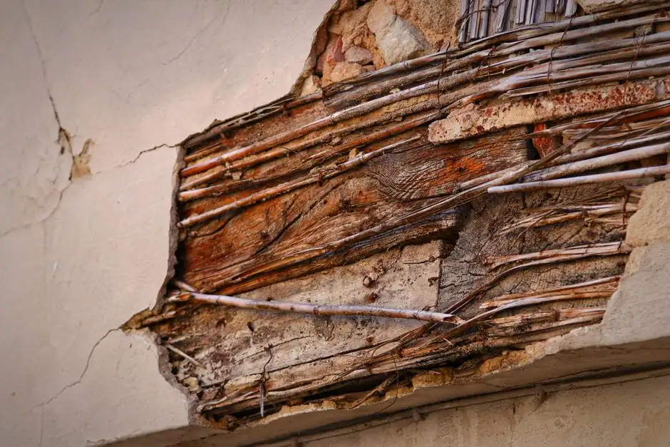 Benefits of Termite Inspection